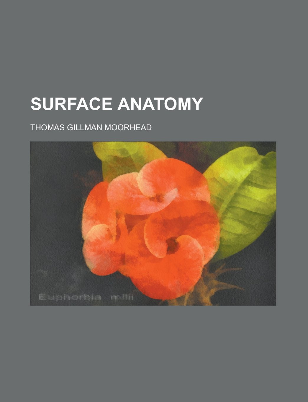 Product Image: Surface Anatomy