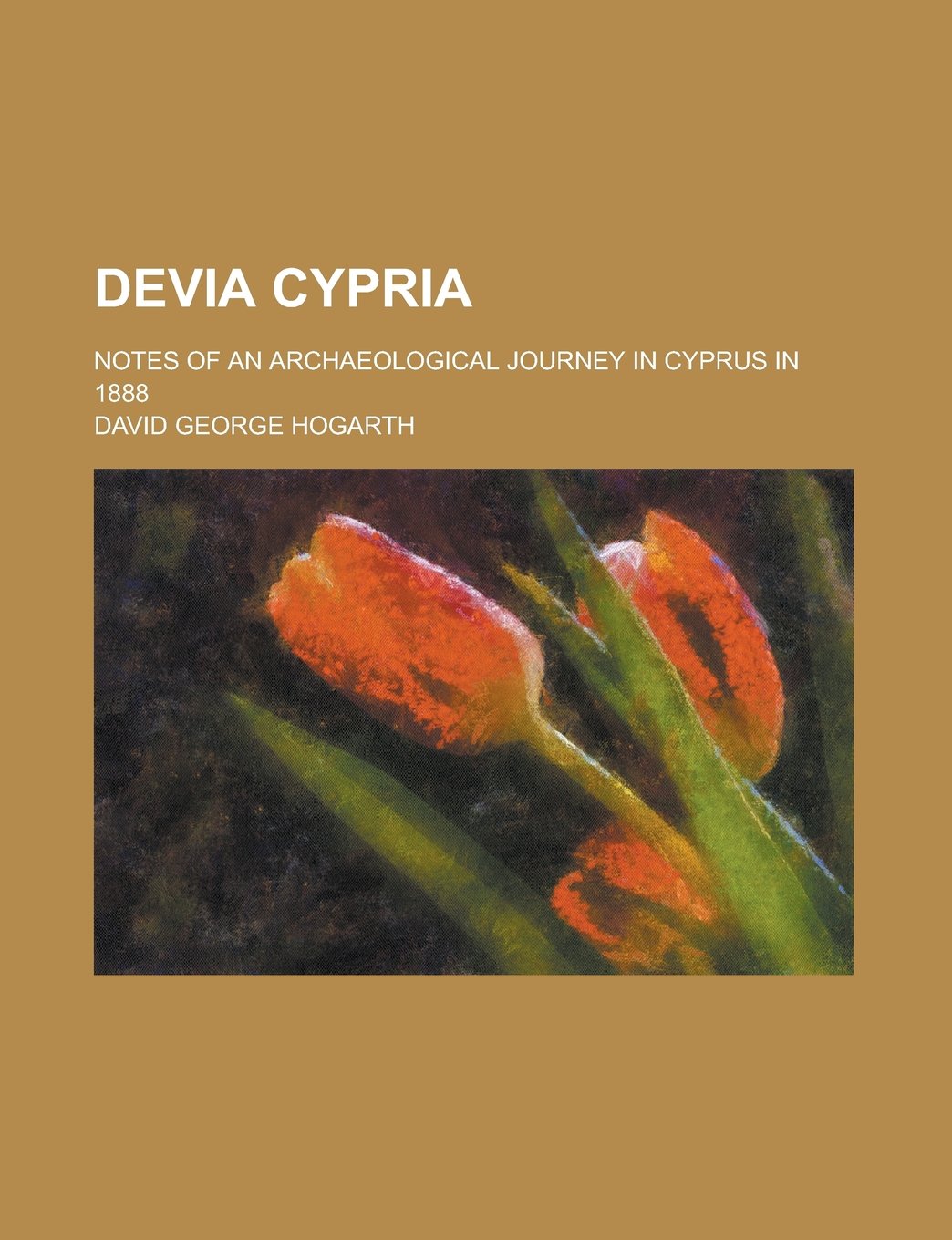 Devia Cypria; notes of an archaeological journey in Cyprus in 1888 Books
