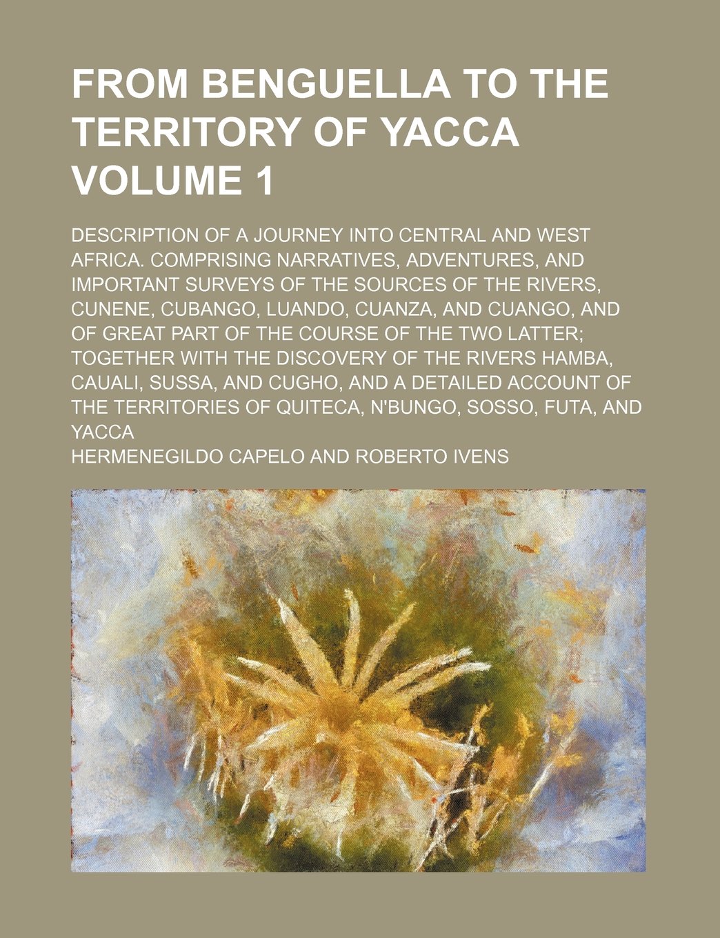From Benguella to the Territory of Yacca; Description of a Journey Into Central and West Africa. Comprising Narratives, Adventures, and Important ... Cubango, Luando, Cuanza, and Cuango, Volume 1 Politics & History