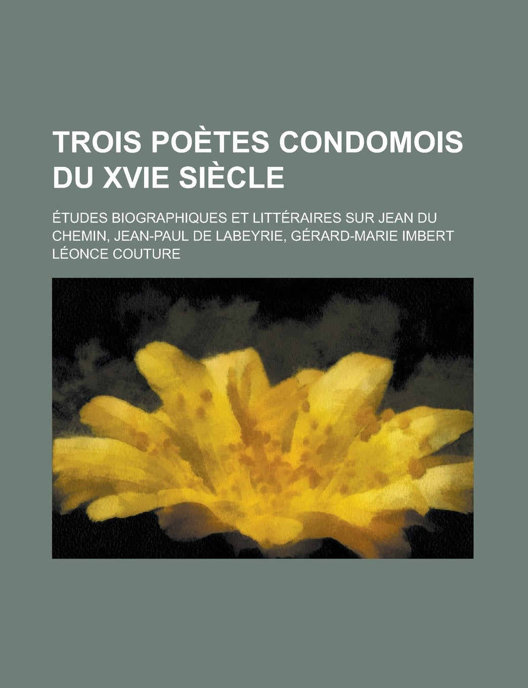 Trois Poetes Condomois Du Xvie Siecle; Etudes Biographiques Et Litteraires Sur Jean Du Chemin, Jean-Paul de Labeyrie, Gerard-Marie Imbert book