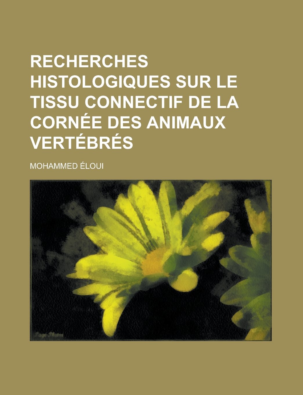 Recherches histologiques sur le tissu connectif de la cornée des animaux vertébrés (French Edition) Contemporary literature