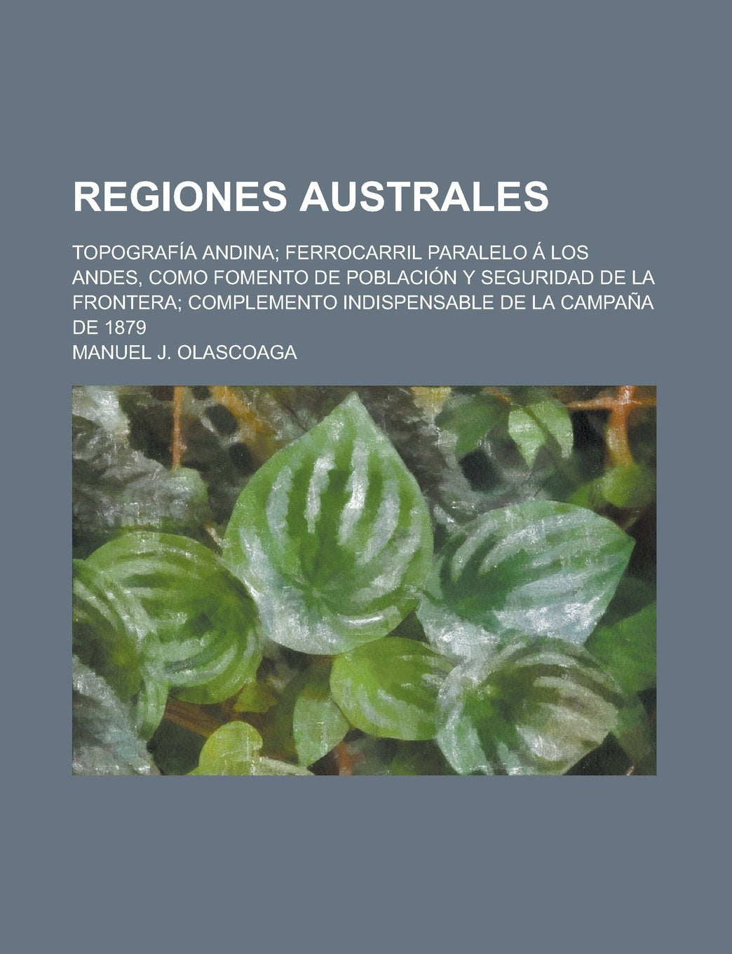 Regiones australes; topografía andina; ferrocarril paralelo á los Andes, como fomento de población y seguridad de la frontera; complemento indispensable de la campaña de 1879 (Spanish Edition) Books