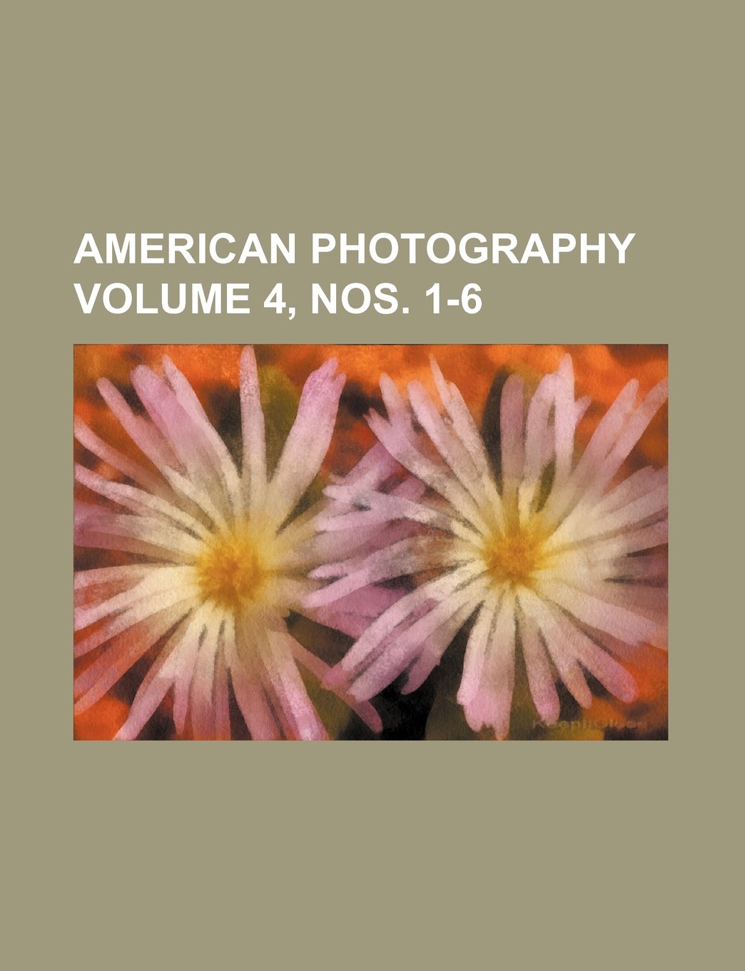 American Photography Volume 4, Nos. 1-6 Books