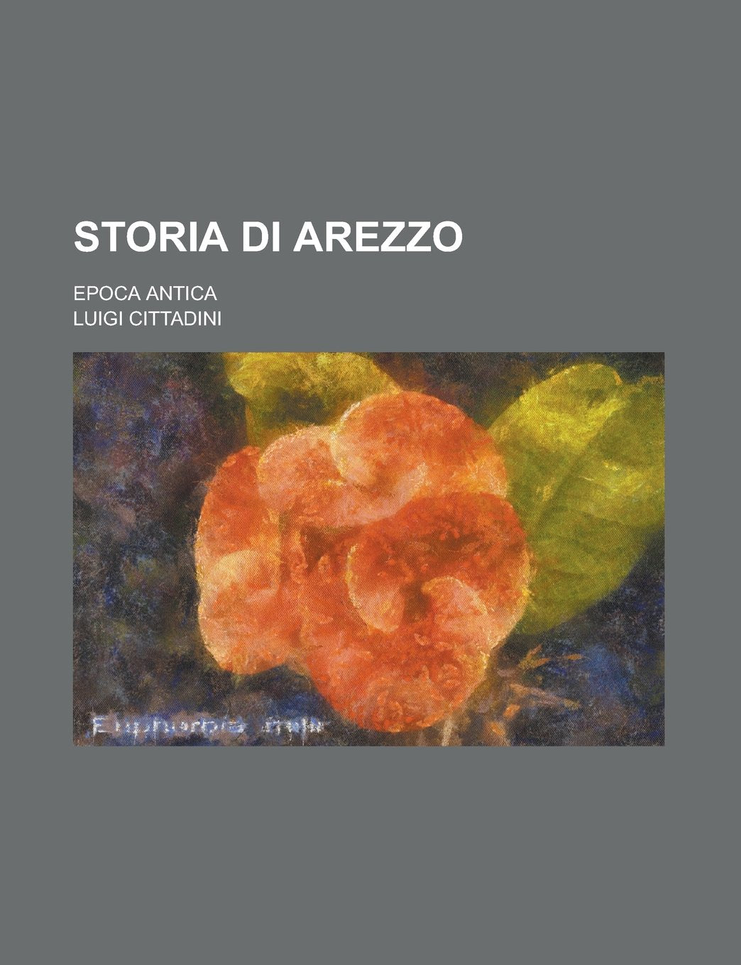 Storia di Arezzo; epoca antica (Italian Edition) Politics & History