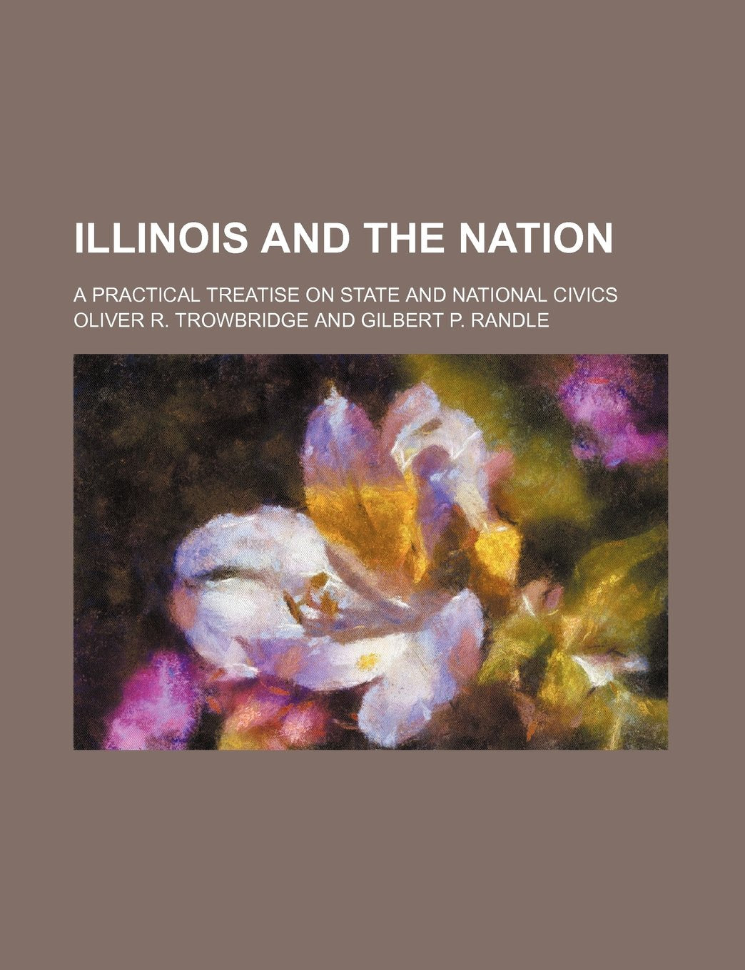 Illinois and the Nation; A Practical Treatise on State and National Civics Books