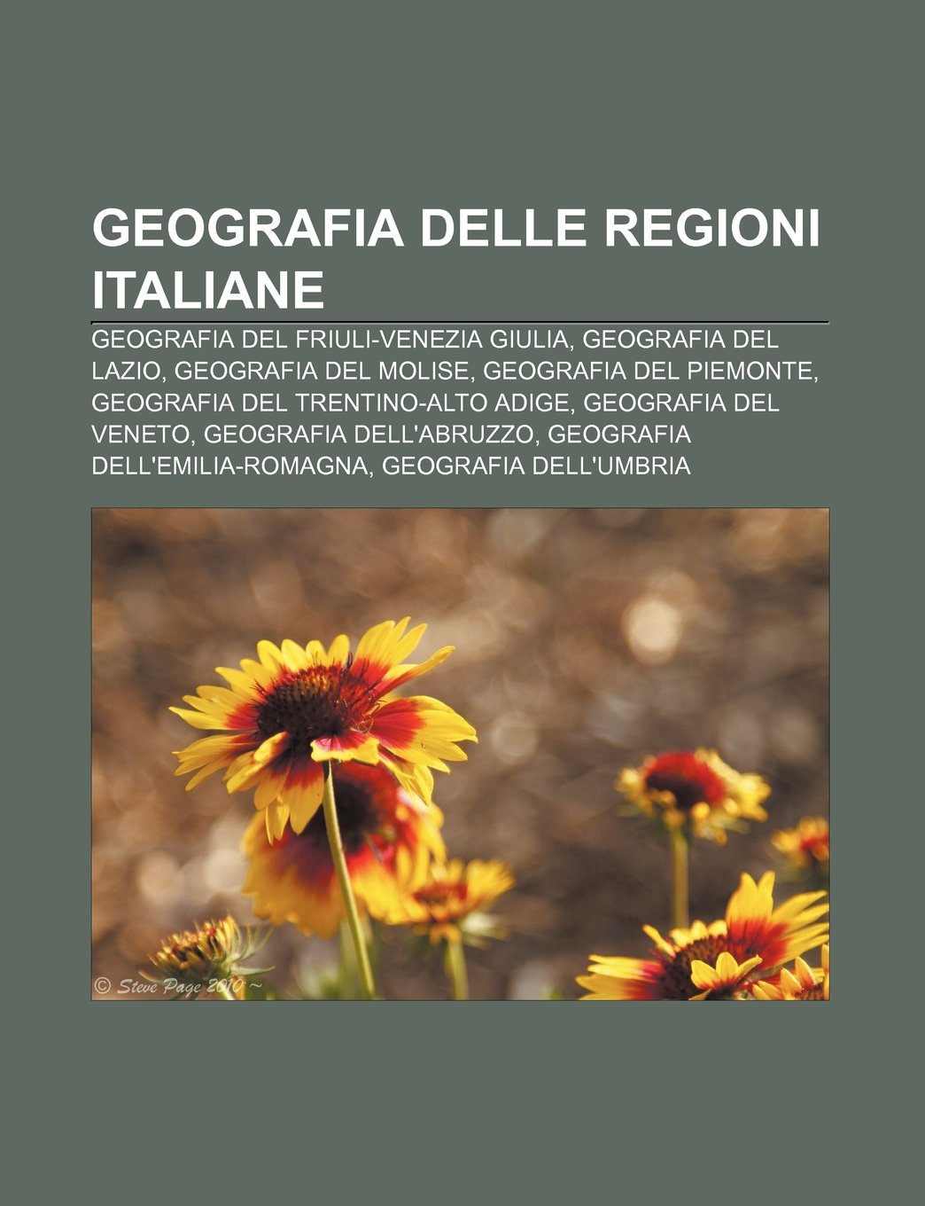 Geografia Delle Regioni Italiane: Geografia del Friuli-Venezia Giulia, Geografia del Lazio, Geografia del Molise, Geografia del Piemonte book