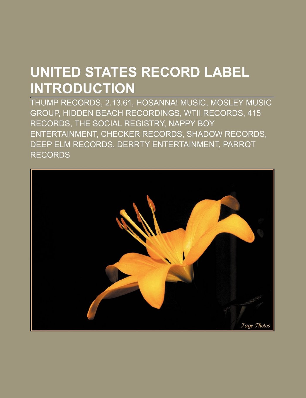 United States Record Label Introduction: Thump Records, 2.13.61, Hosanna! Music, Mosley Music Group, Hidden Beach Recordings, Wtii Records book