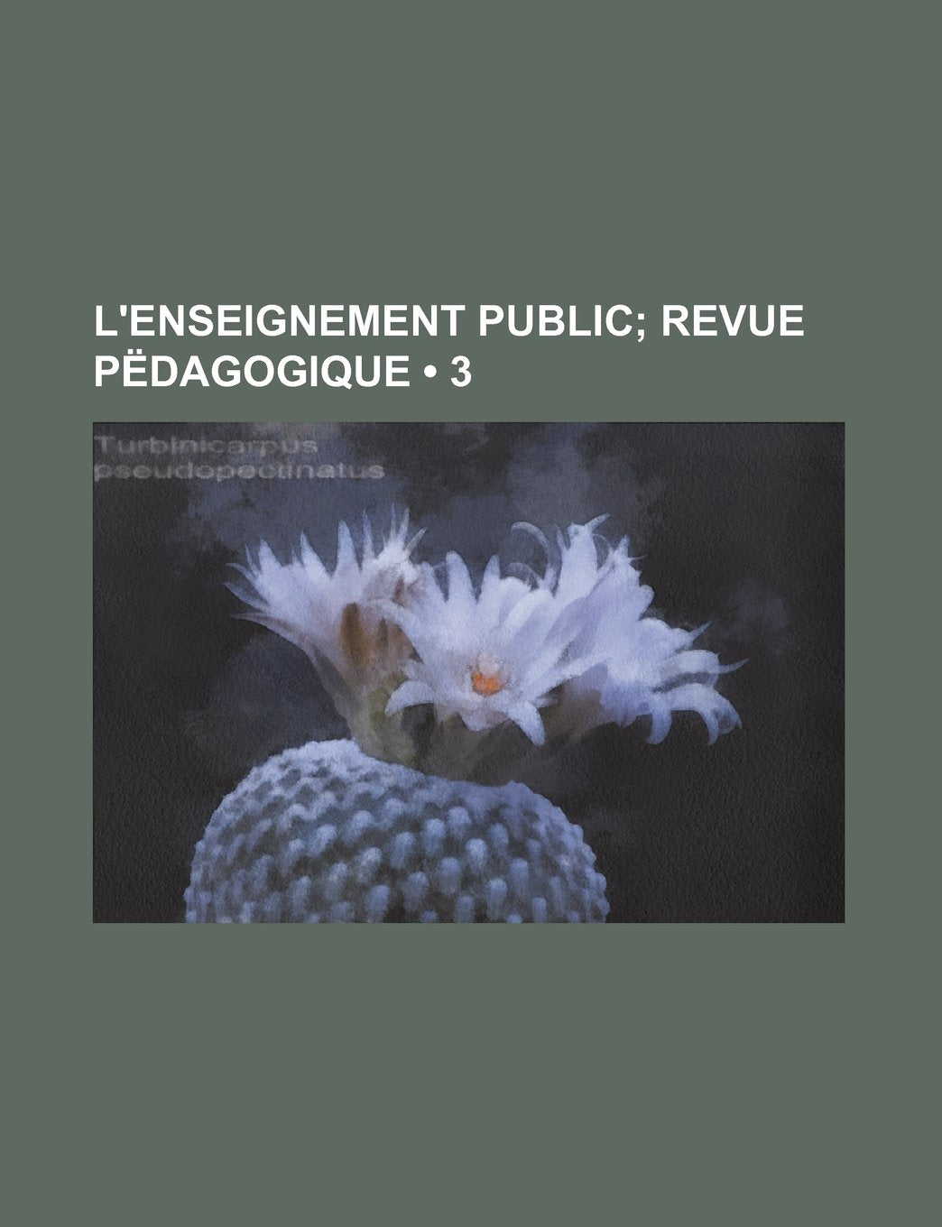 L'Enseignement Public (3); Revue Pedagogique Books