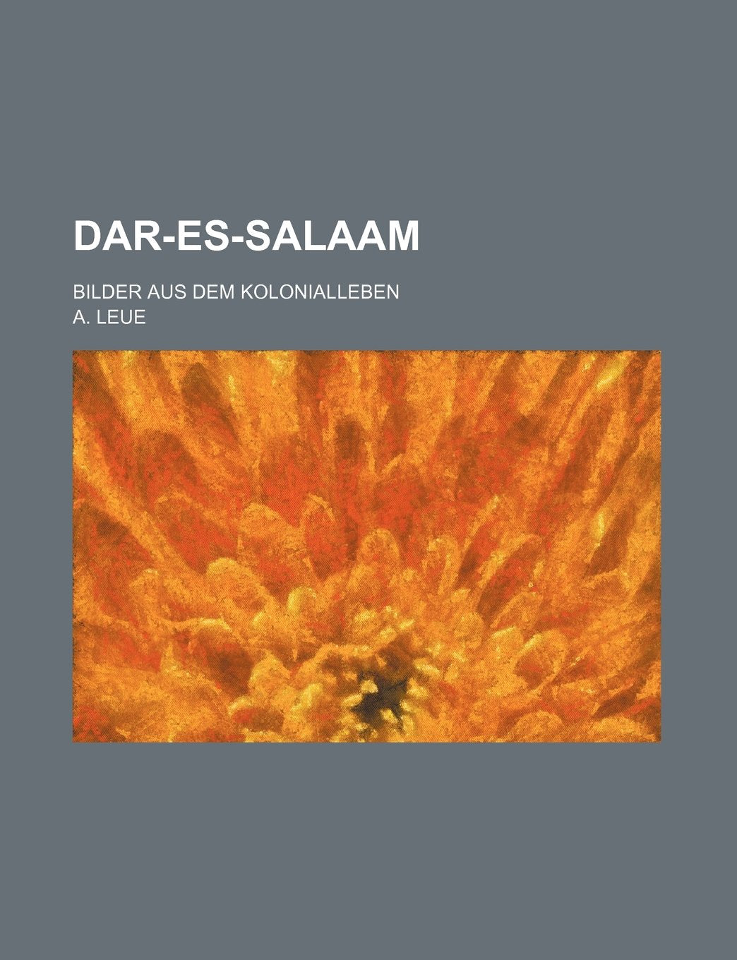 Dar-Es-Salaam; Bilder Aus Dem Kolonialleben Books