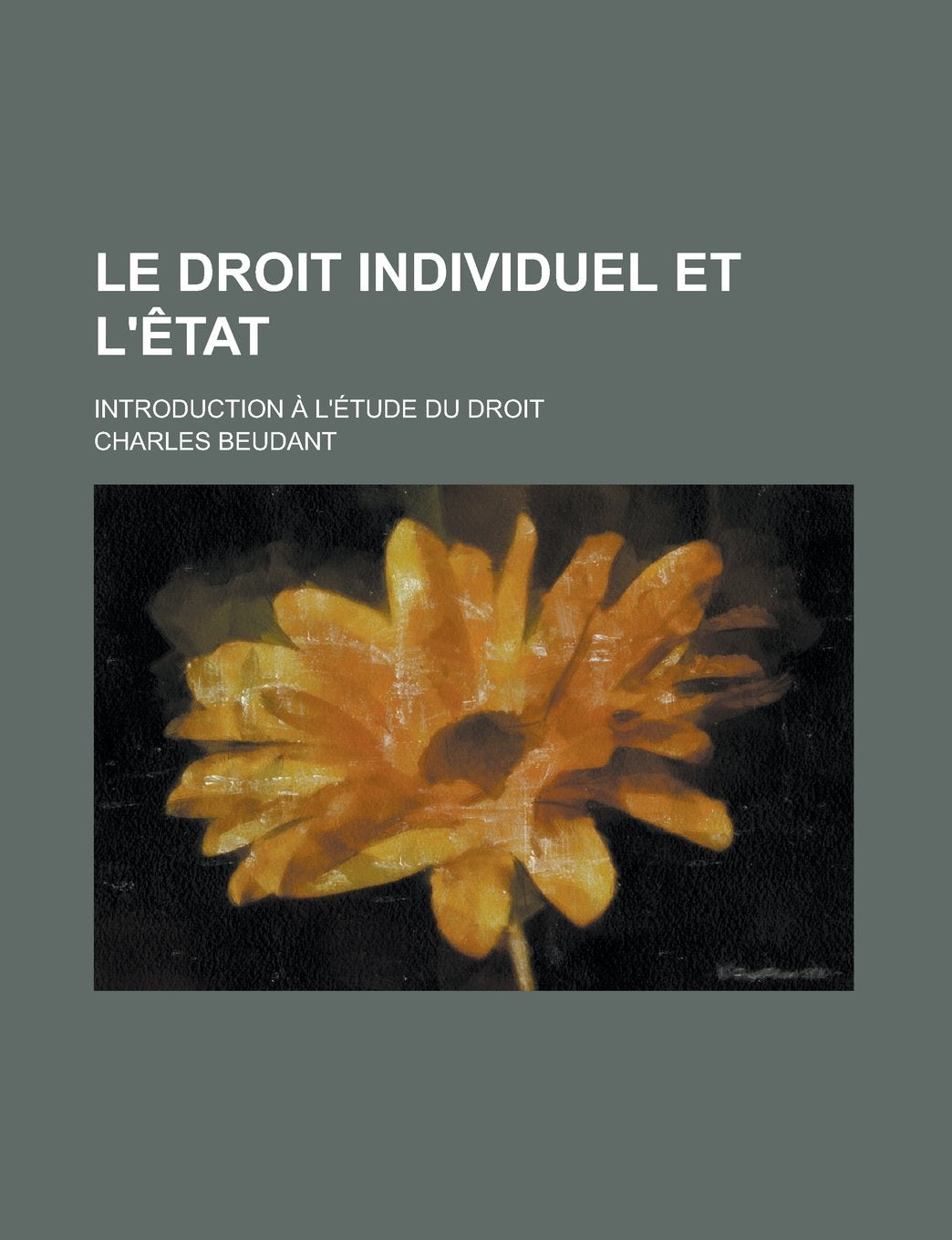 Le Droit Individuel Et L'Etat; Introduction A L'Etude Du Droit Politics & History