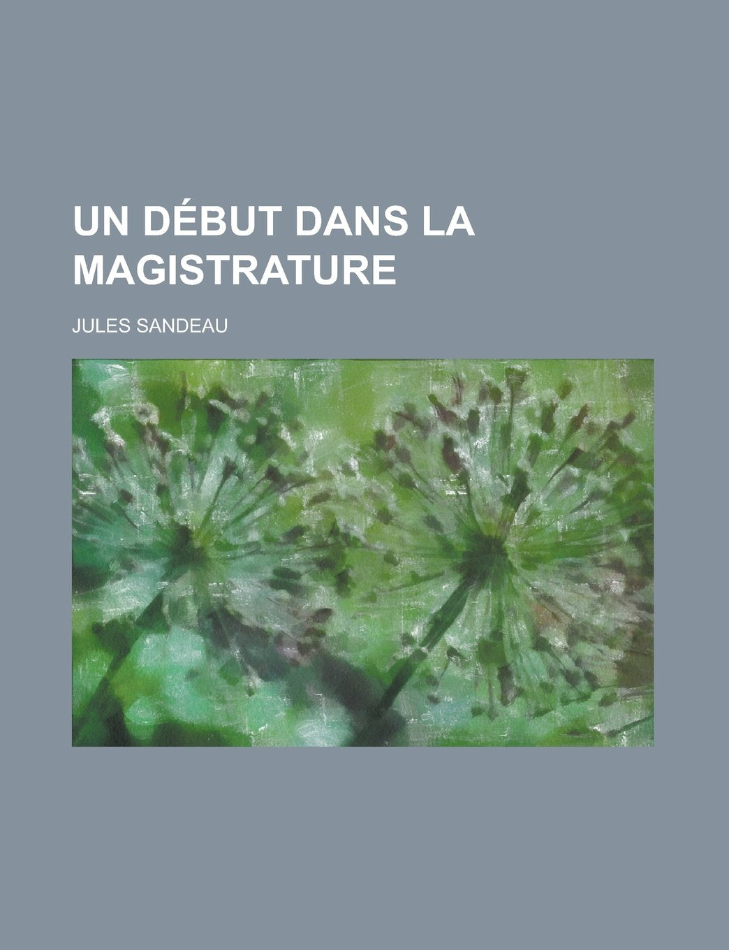 Un Debut Dans La Magistrature Politics & History