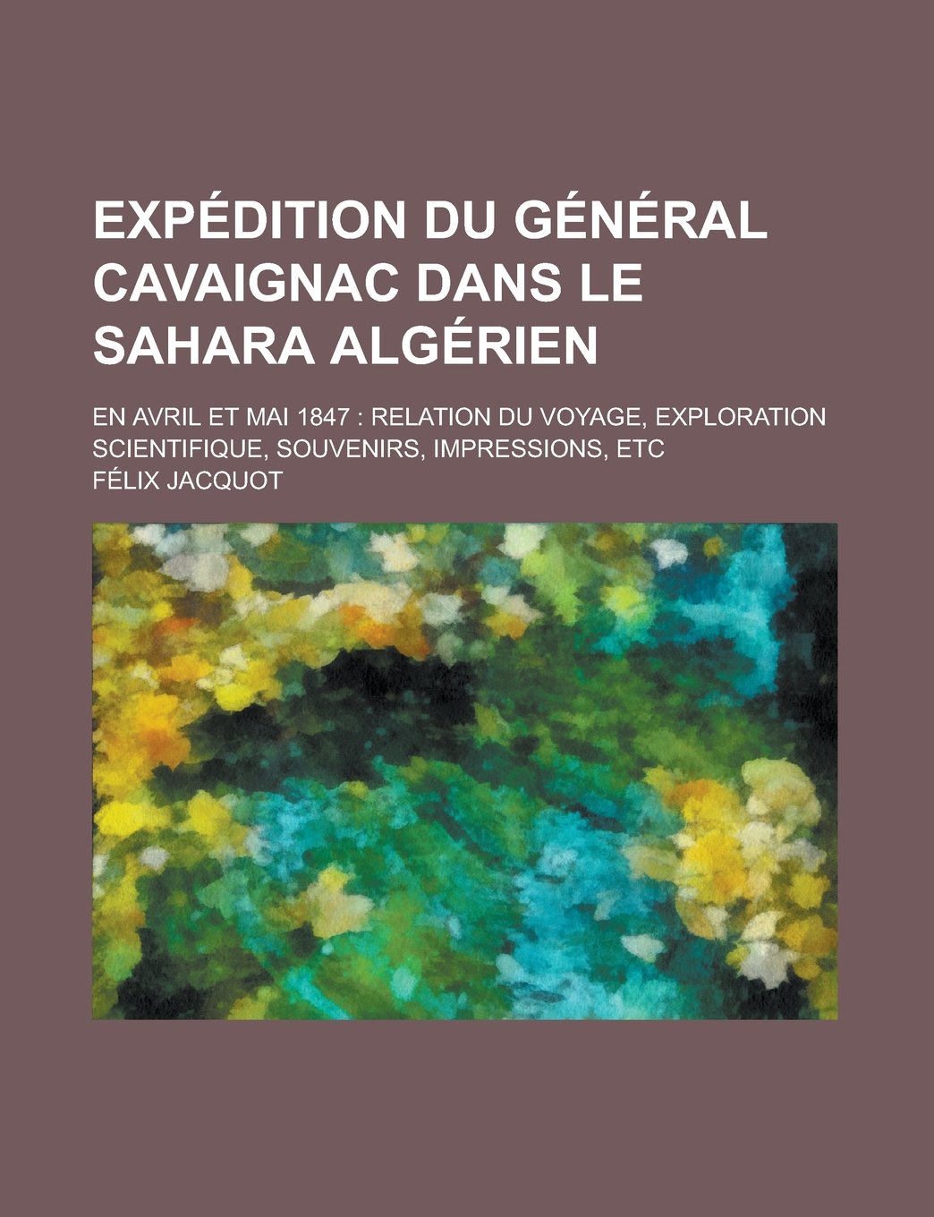 Expedition Du General Cavaignac Dans Le Sahara Algerien; En Avril Et Mai 1847: Relation Du Voyage, Exploration Scientifique, Souvenirs, Impressions, E Books