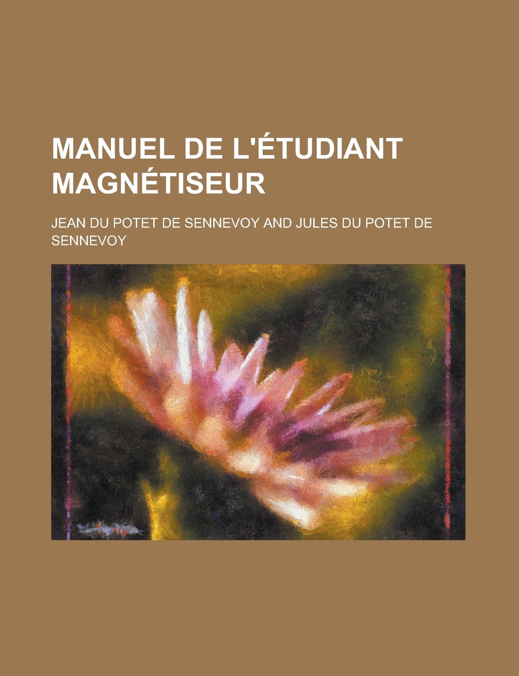 Manuel de L'Etudiant Magnetiseur book