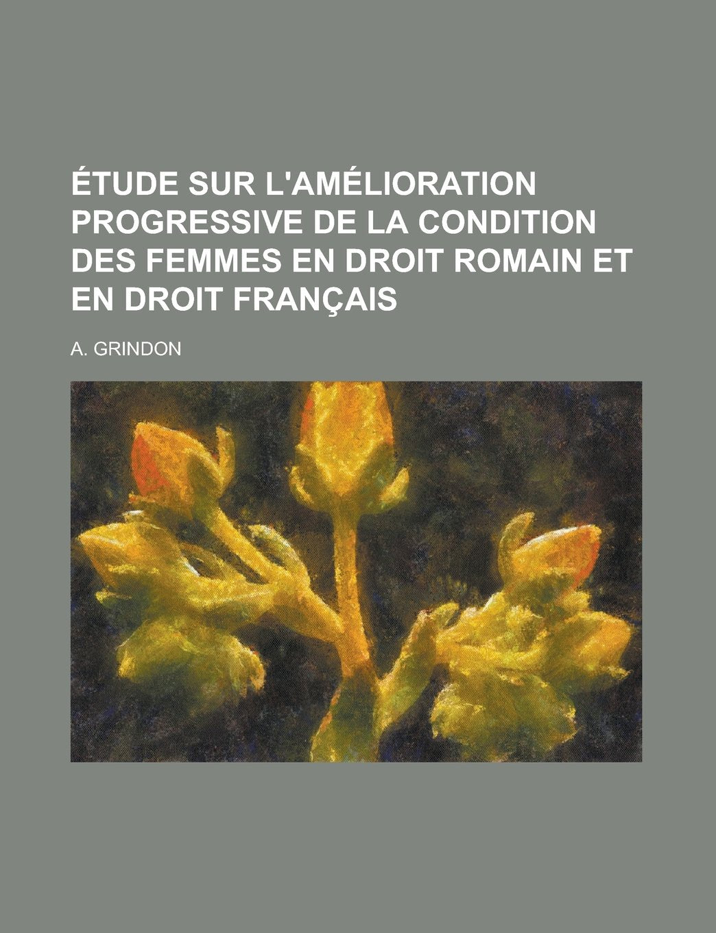 Etude Sur L'Amelioration Progressive de La Condition Des Femmes En Droit Romain Et En Droit Francais; These Pour Le Doctorat book