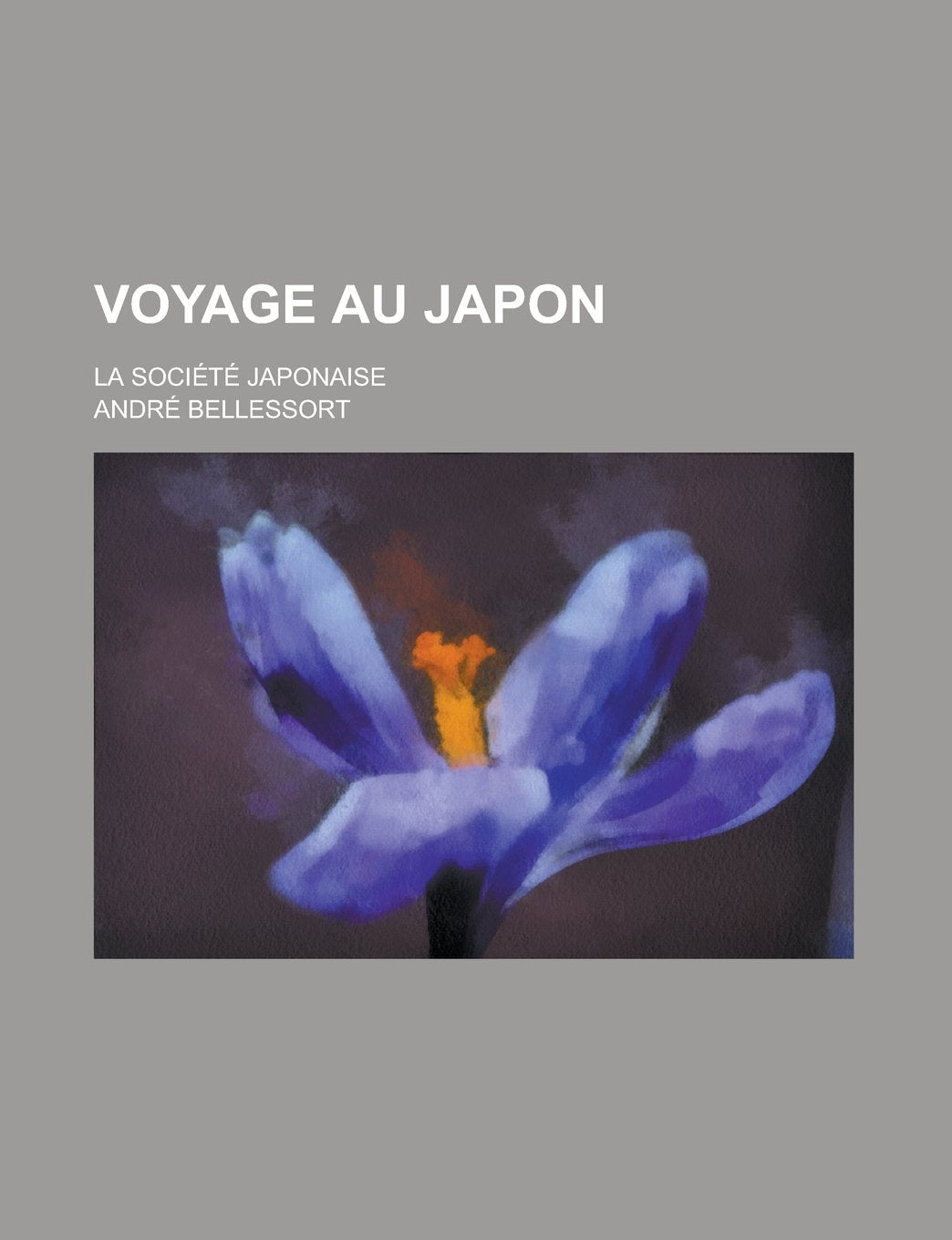 Voyage Au Japon; La Societe Japonaise book
