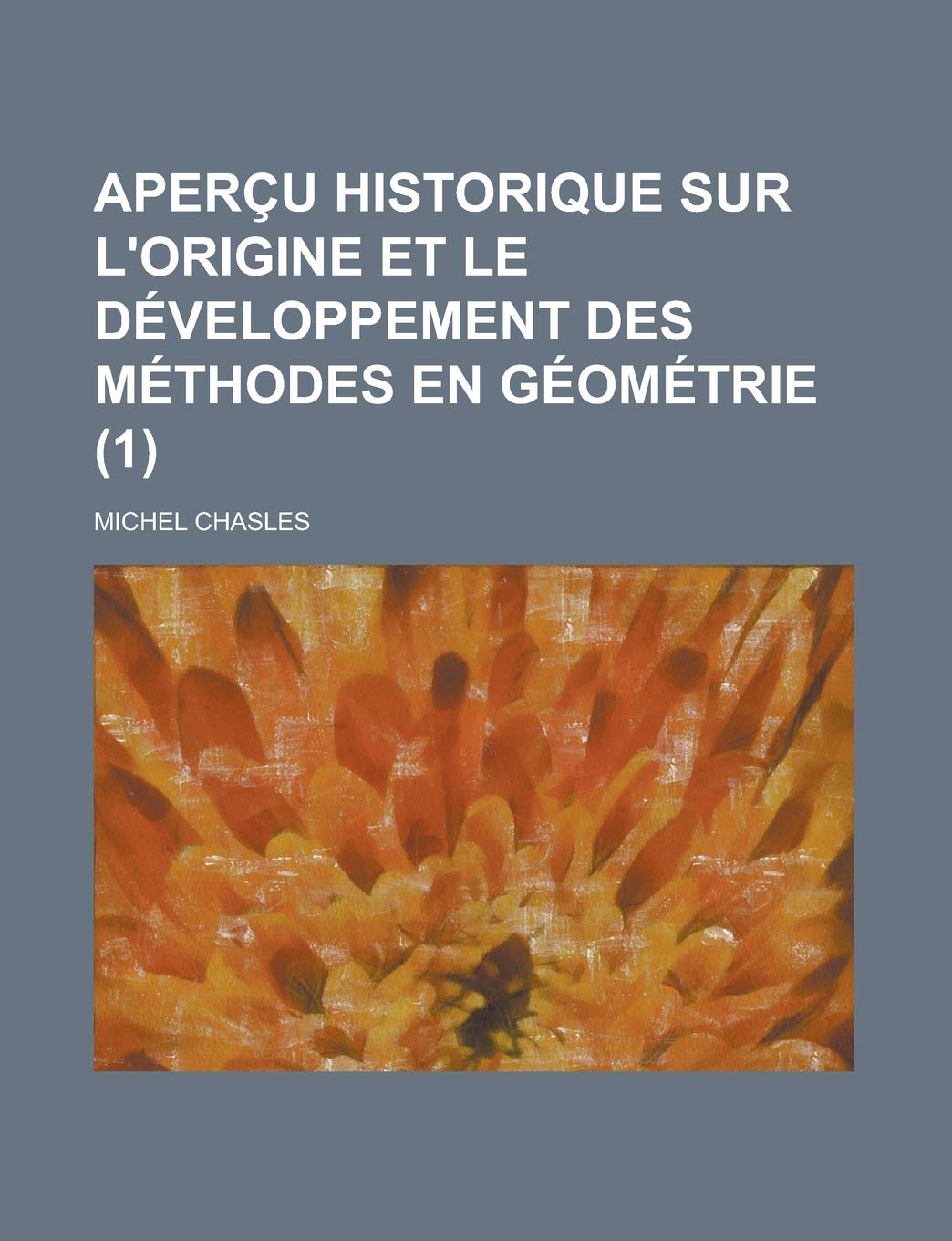 Apercu Historique Sur L'Origine Et Le Developpement Des Methodes En Geometrie (1) book