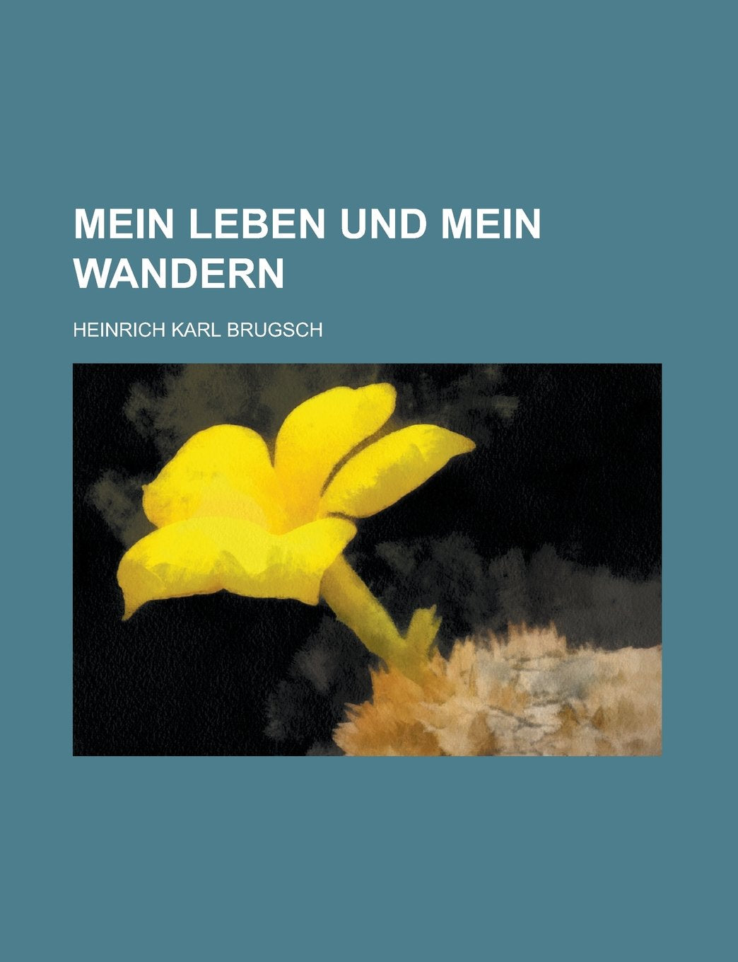 Mein Leben Und Mein Wandern Politics & History