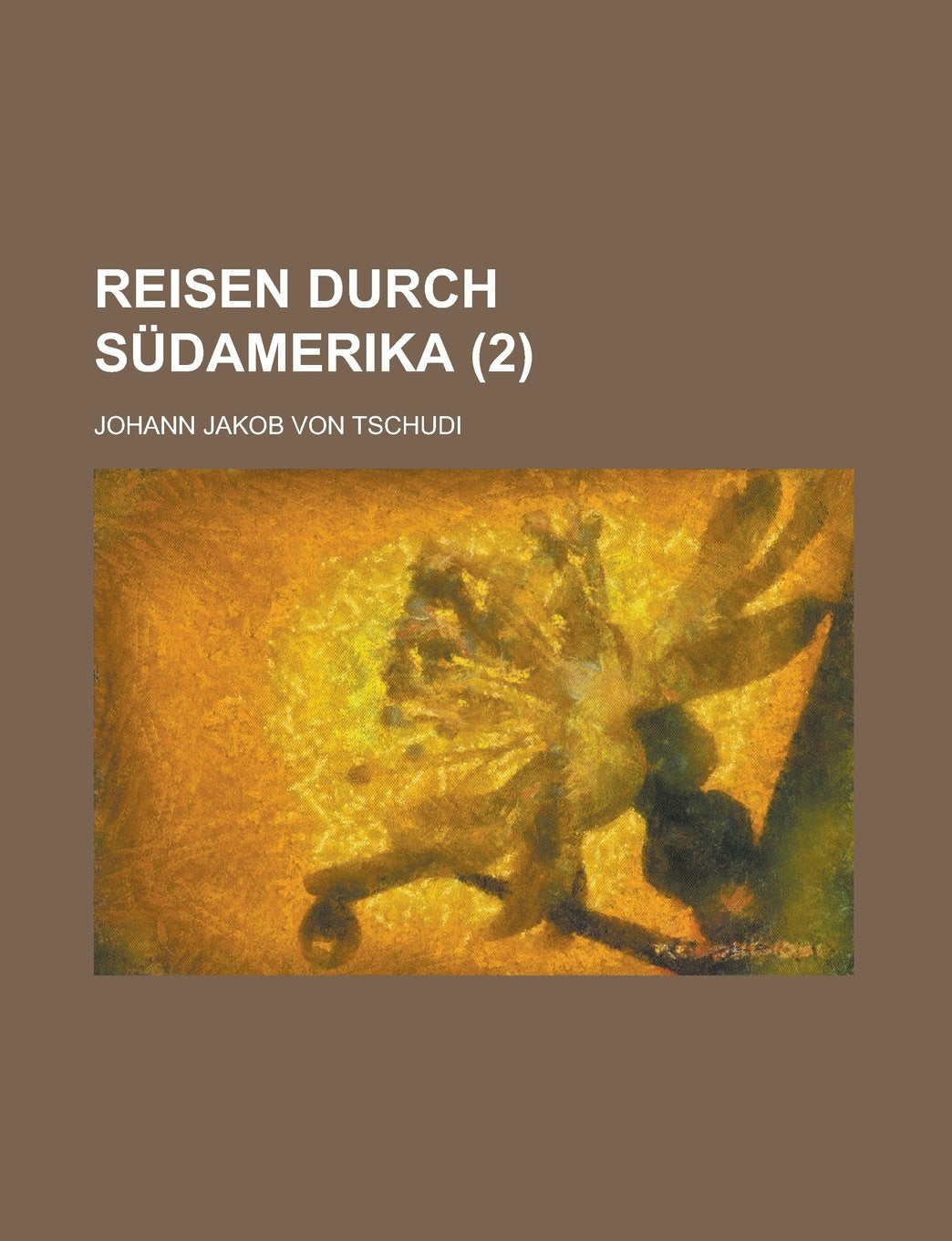 Reisen Durch Sudamerika (2) Books
