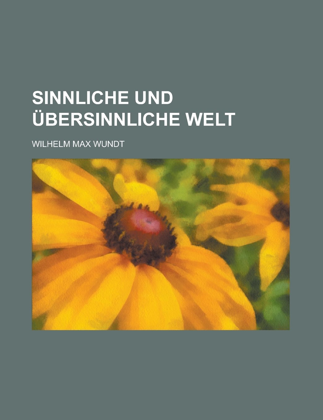 Sinnliche Und Ubersinnliche Welt Politics & History
