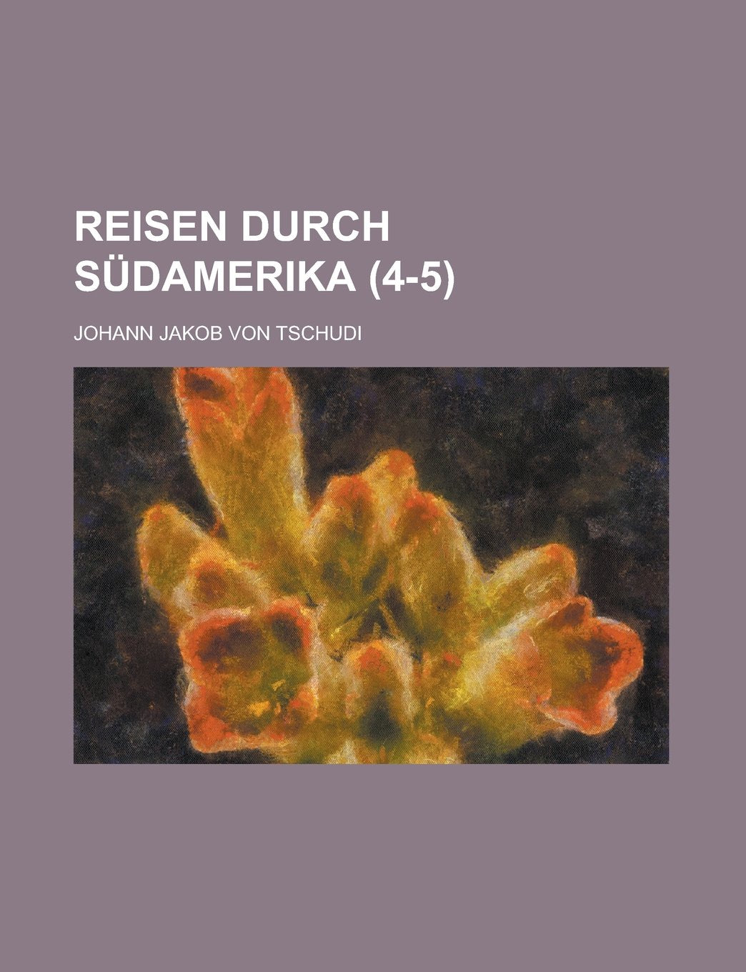 Reisen Durch Sudamerika (4-5) Books