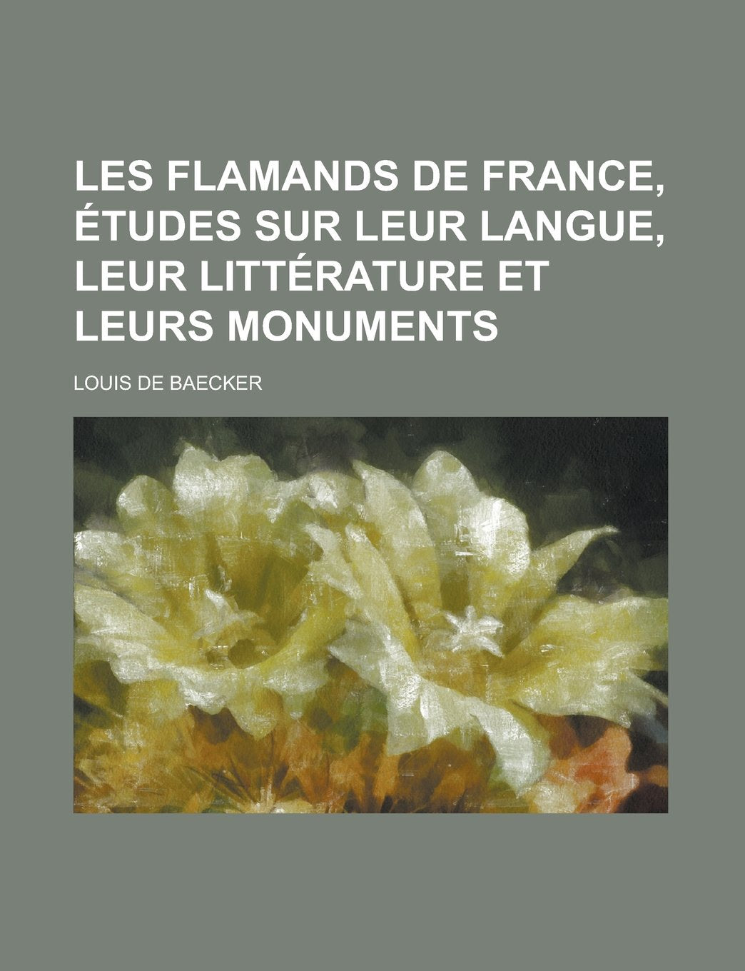 Les Flamands de France, Etudes Sur Leur Langue, Leur Litterature Et Leurs Monuments; Etudes Sur Leur Langue, Leur Litterature Et Leurs Monuments Books