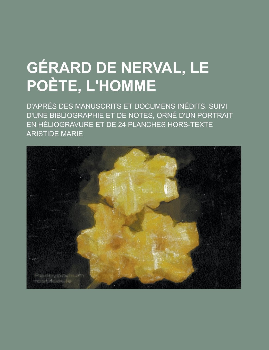 Gerard de Nerval, Le Poete, L'Homme; D'Apres Des Manuscrits Et Documens Inedits, Suivi D'Une Bibliographie Et de Notes, Orne D'Un Portrait En Heliogravure Et de 24 Planches Hors-Texte Politics & History