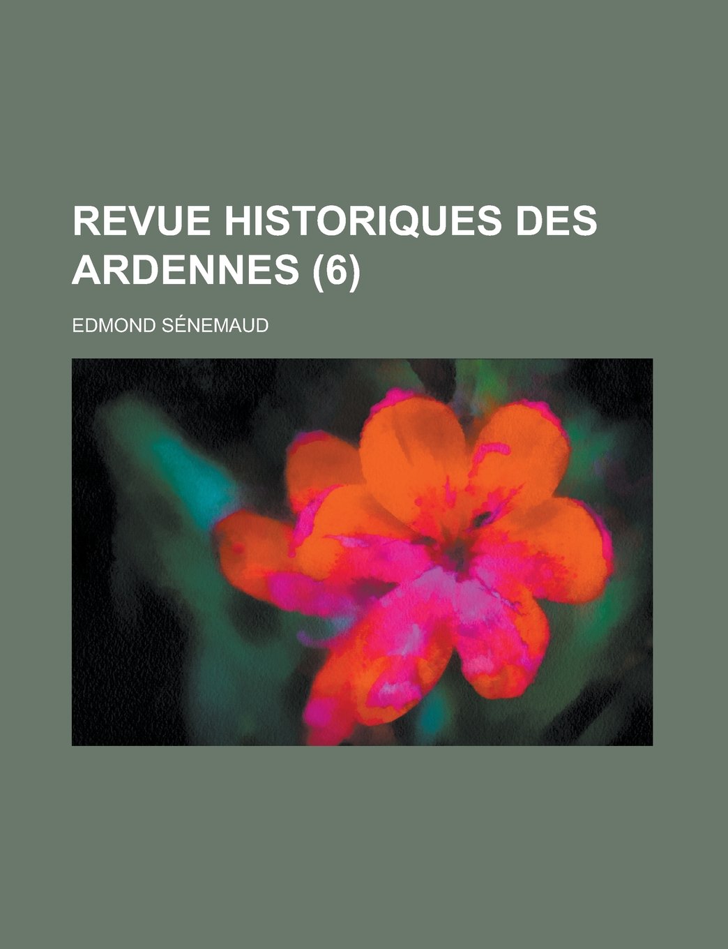 Revue Historiques Des Ardennes (6) Books