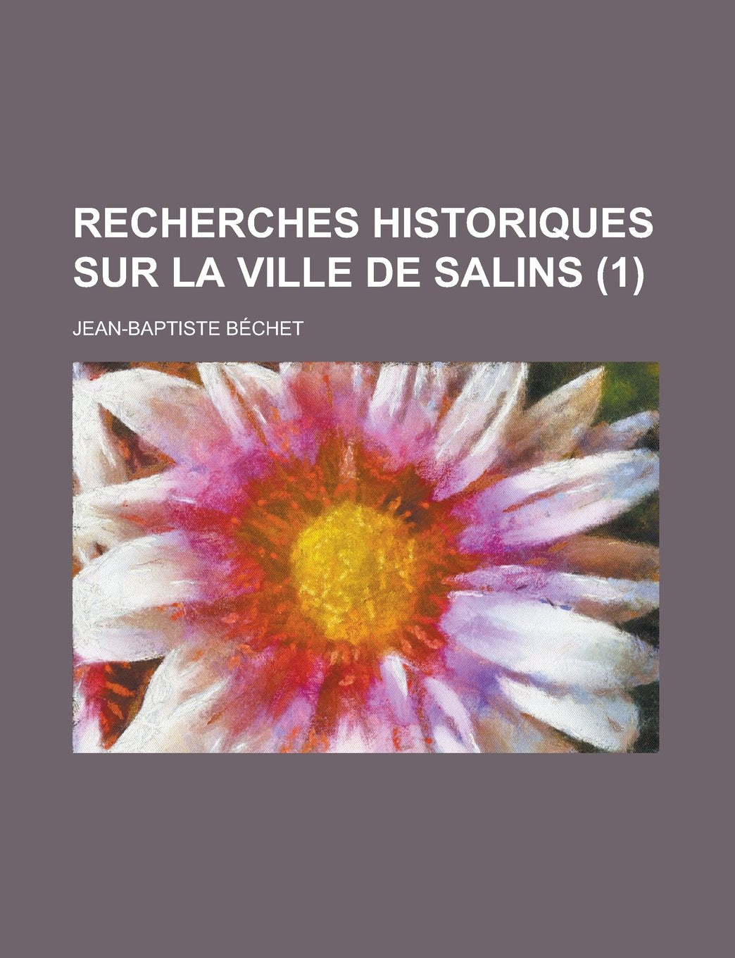 Recherches Historiques Sur La Ville de Salins (1) Books