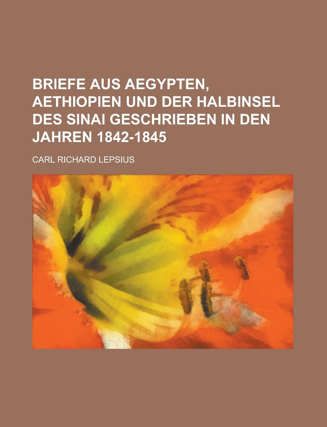 Briefe Aus Aegypten, Aethiopien Und Der Halbinsel Des Sinai Geschrieben in Den Jahren 1842-1845 Books