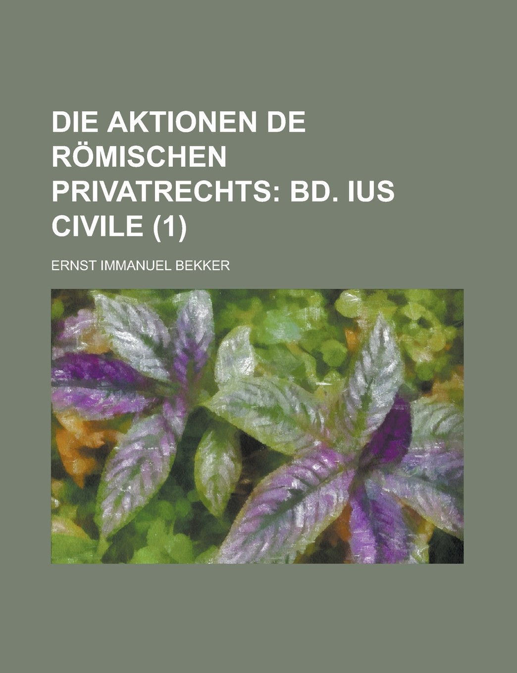 Die Aktionen de Romischen Privatrechts (1); Bd. Ius Civile Books