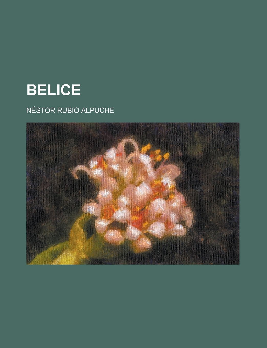Belice; Apuntes Historicos y Coleccion de Tratados Internacionales Relativos a Esta Colonia Britanica Books