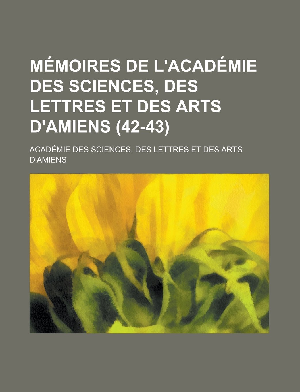 Memoires de L'Academie Des Sciences, Des Lettres Et Des Arts D'Amiens (42-43) Books