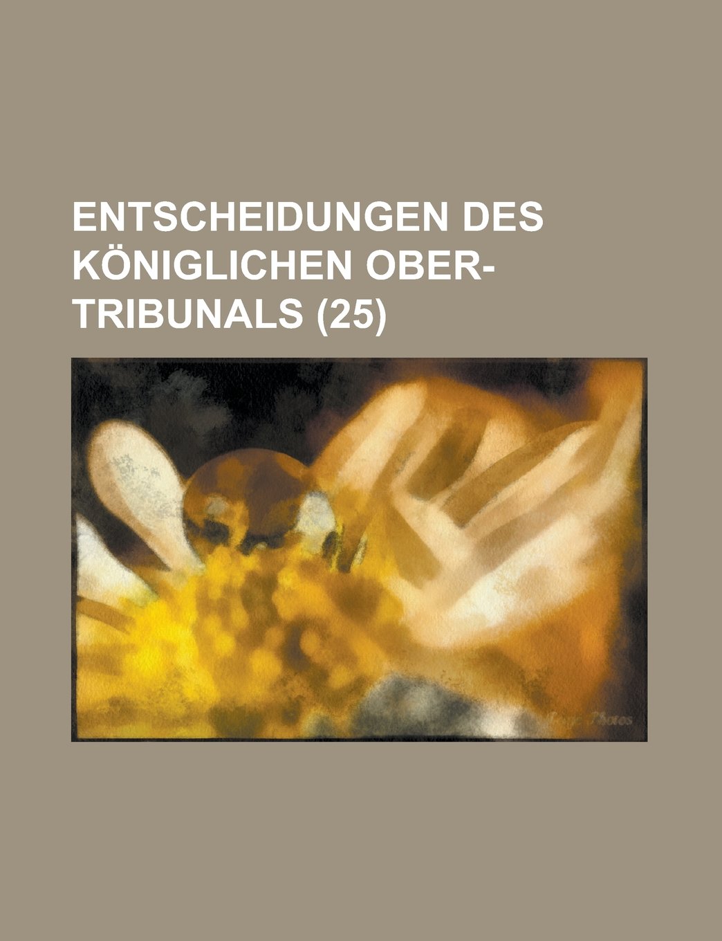 Entscheidungen Des Koniglichen Ober-Tribunals (25) Books