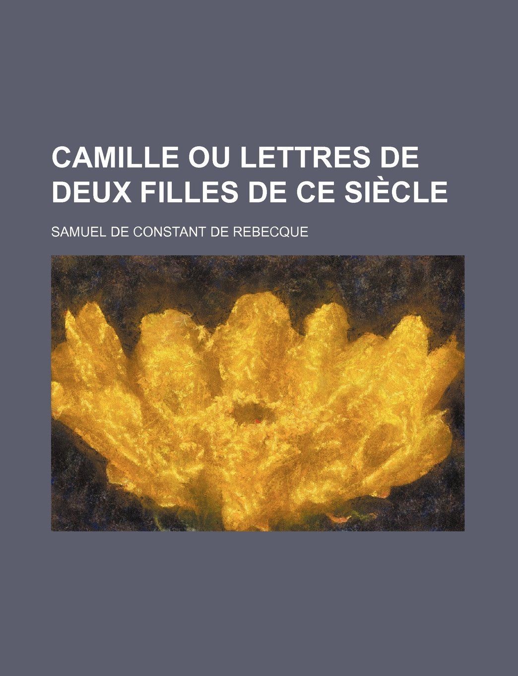 Camille Ou Lettres de Deux Filles de Ce Siecle Contemporary literature