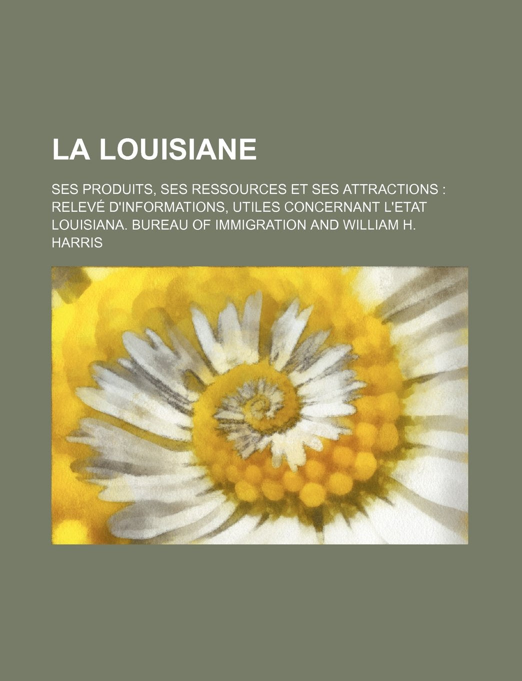 La Louisiane; Ses Produits, Ses Ressources Et Ses Attractions Releve D'Informations, Utiles Concernant L'Etat Books