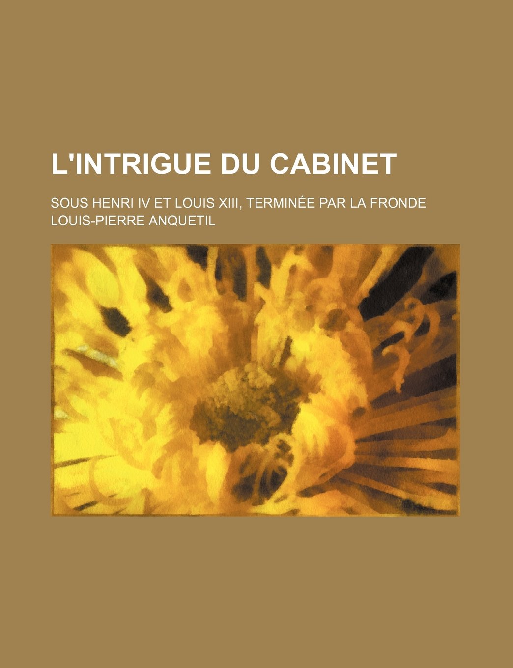 L'Intrigue Du Cabinet; Sous Henri IV Et Louis XIII, Terminee Par La Fronde Politics & History