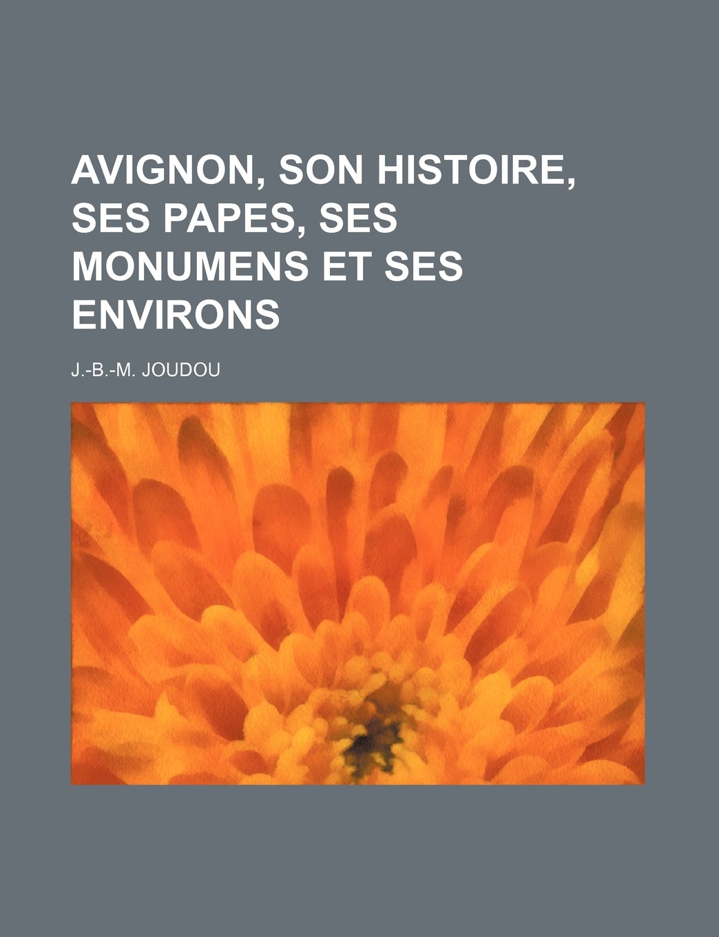 Avignon, Son Histoire, Ses Papes, Ses Monumens Et Ses Environs Books