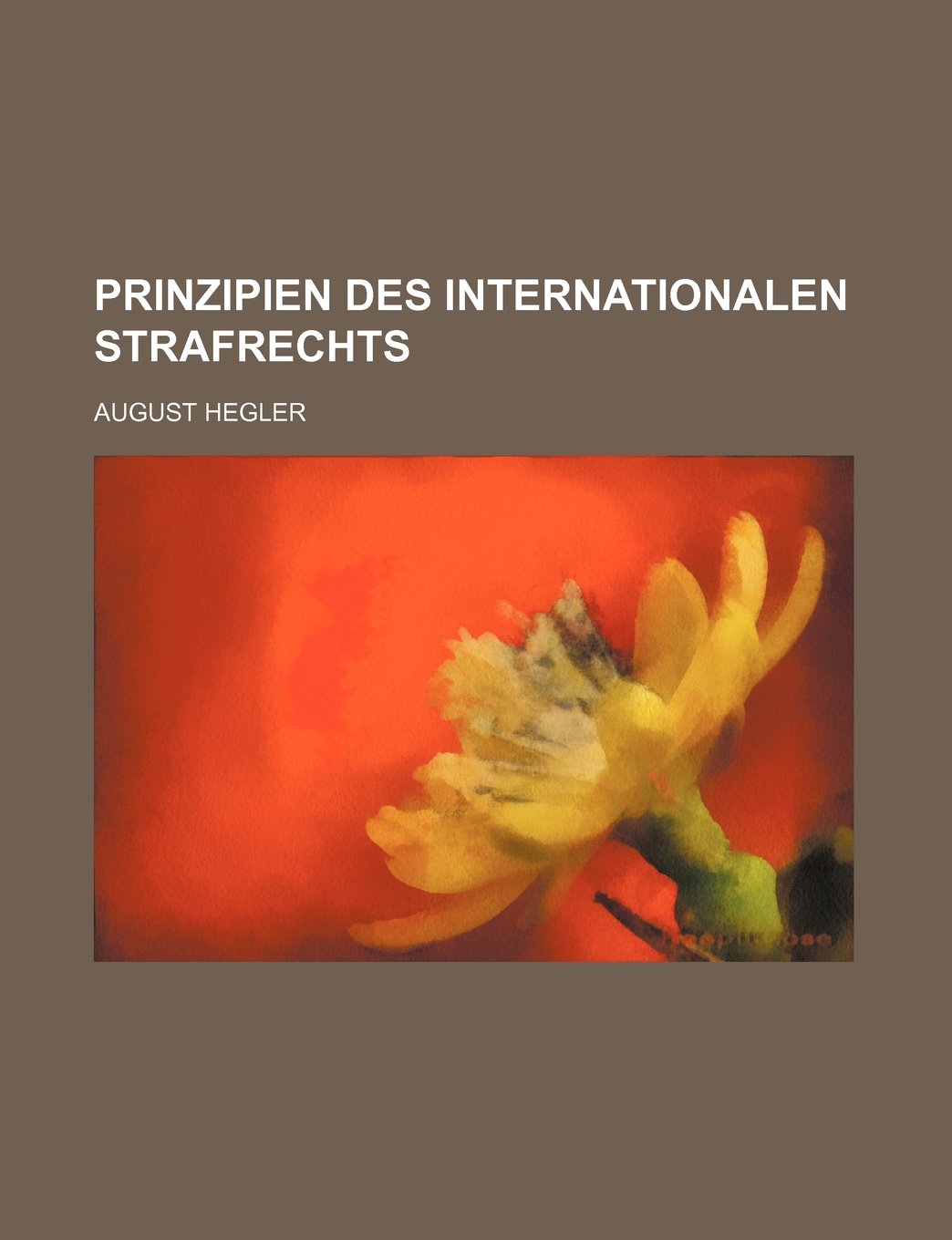 Prinzipien Des Internationalen Strafrechts Law