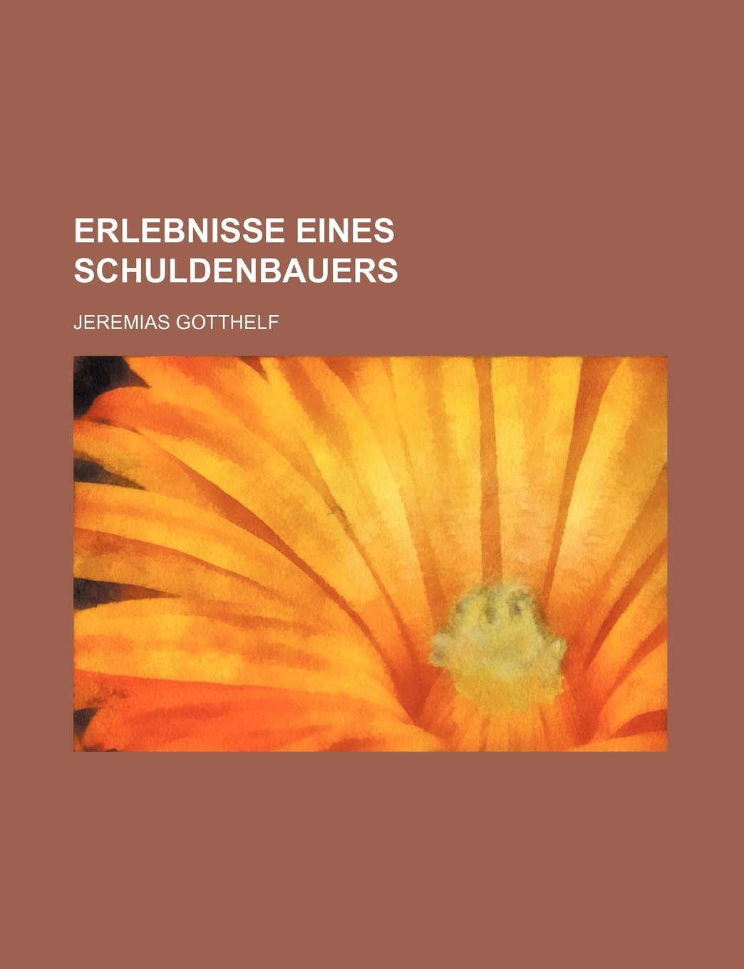 Erlebnisse Eines Schuldenbauers Politics & History