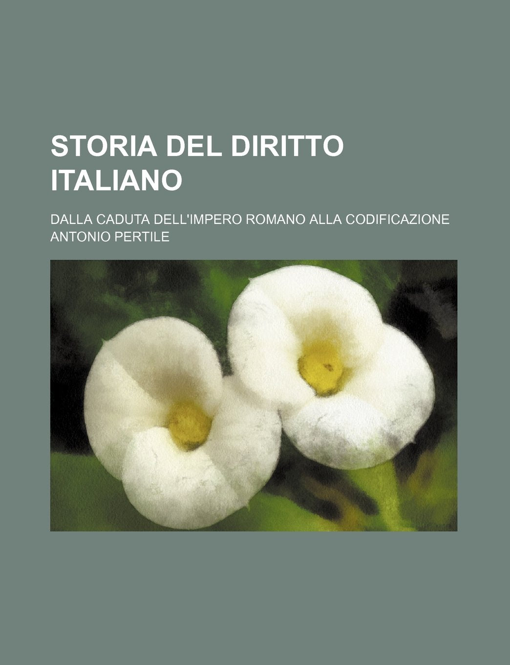 Storia del Diritto Italiano (2, PT. 2); Dalla Caduta Dell'impero Romano Alla Codificazione Books