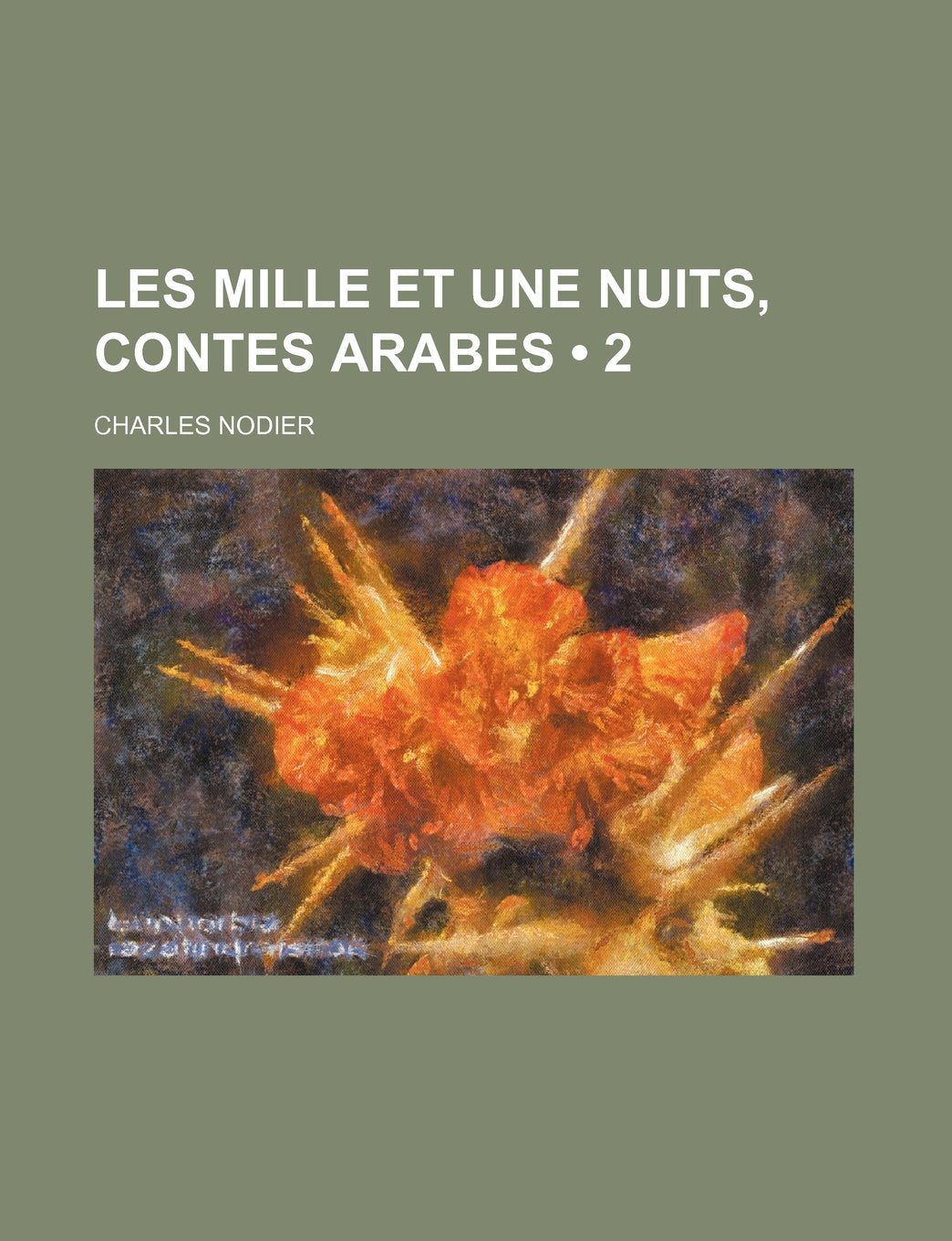Les Mille Et Une Nuits, Contes Arabes (2 ) Politics & History