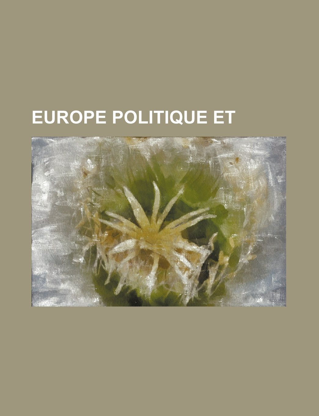 Europe Politique Et Books