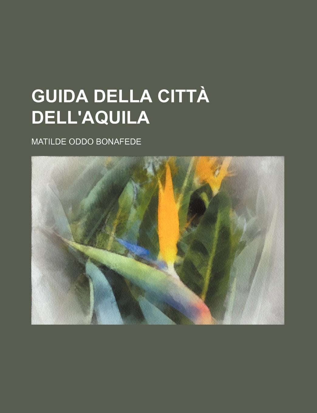 Guida Della Citta Dell'aquila Books