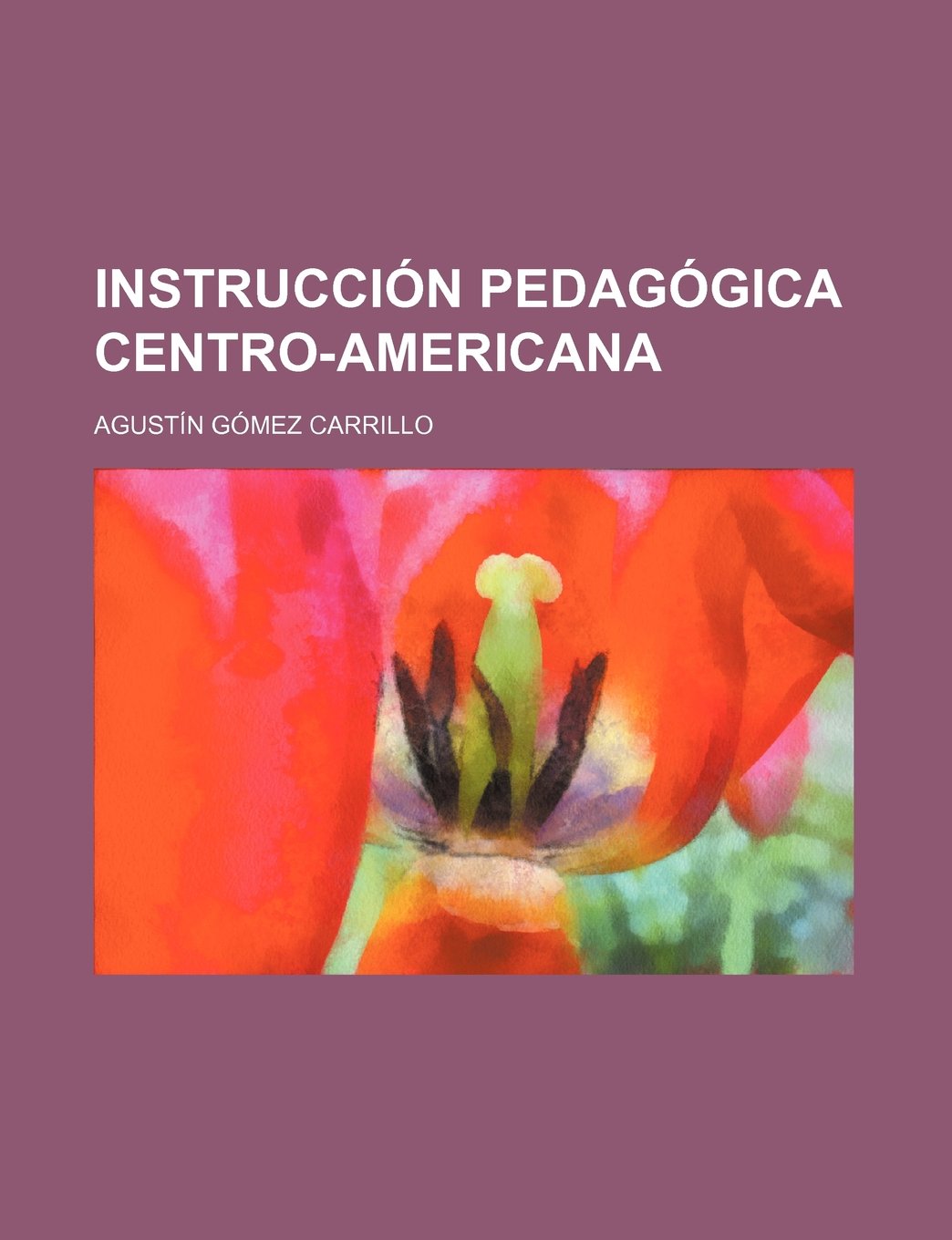 Instruccion Pedagogica Centro-Americana Books