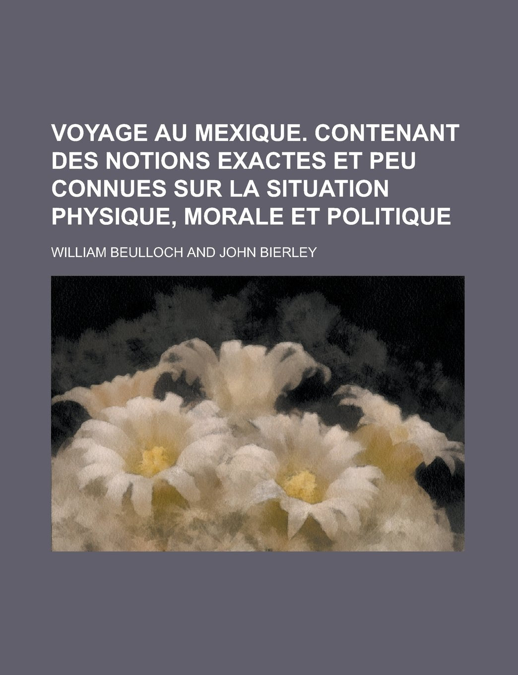Voyage Au Mexique. Contenant Des Notions Exactes Et Peu Connues Sur La Situation Physique, Morale Et Politique Books