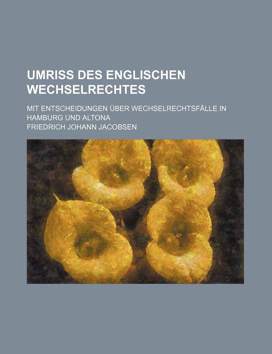 Umriss Des Englischen Wechselrechtes; Mit Entscheidungen Uber Wechselrechtsfalle in Hamburg Und Altona Books