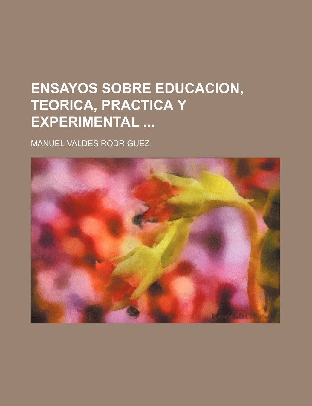 Ensayos Sobre Educacion, Teorica, Practica y Experimental Books