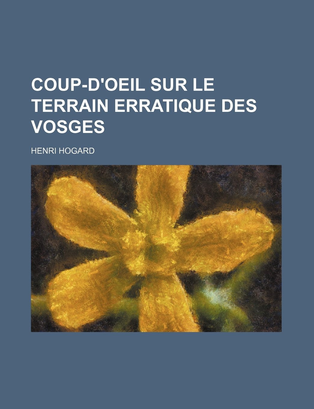 Coup-D'Oeil Sur Le Terrain Erratique Des Vosges Contemporary literature
