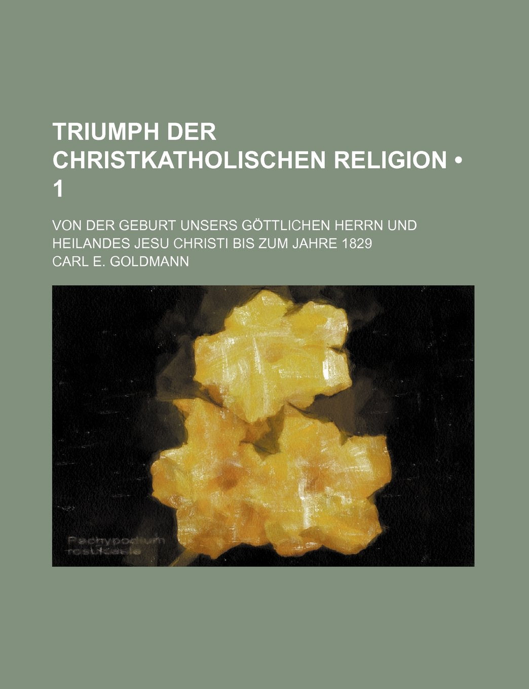 Triumph Der Christkatholischen Religion (1); Von Der Geburt Unsers Gottlichen Herrn Und Heilandes Jesu Christi Bis Zum Jahre 1829 Books
