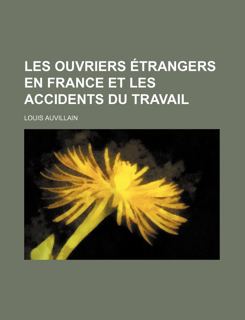 Les Ouvriers Etrangers En France Et Les Accidents Du Travail Business, Finance & Career